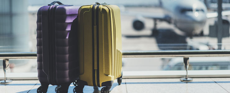 luggage allowed in international flight